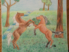 Ponys